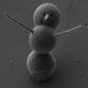 Courtesy: Western University Nanofabrication Facility, Ontario, Canada and Dr. Todd Simpson